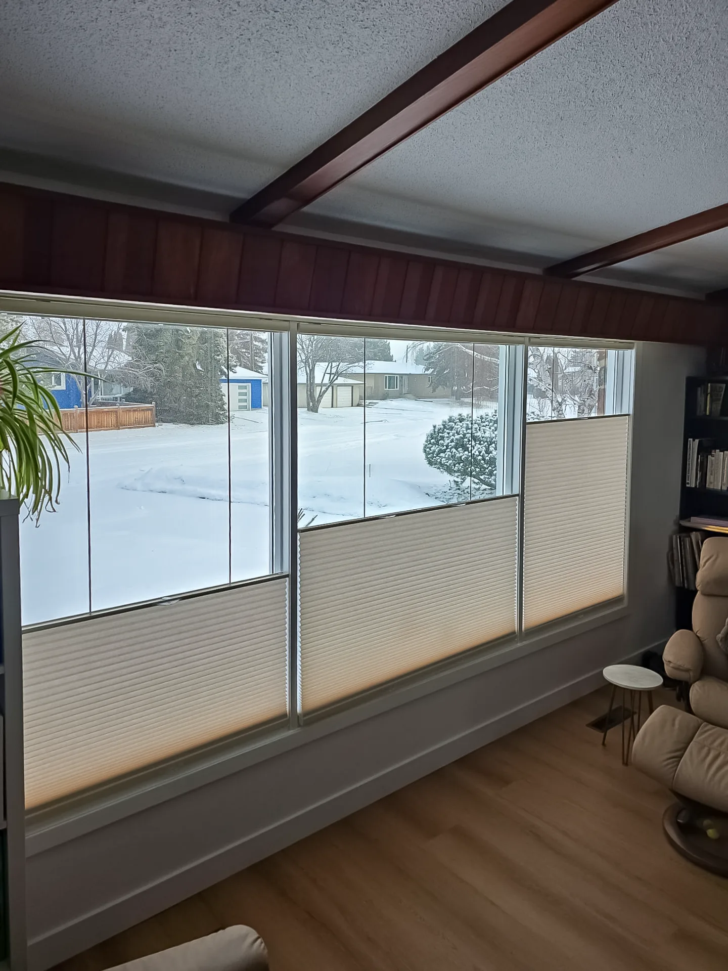 Honeycomb Blinds