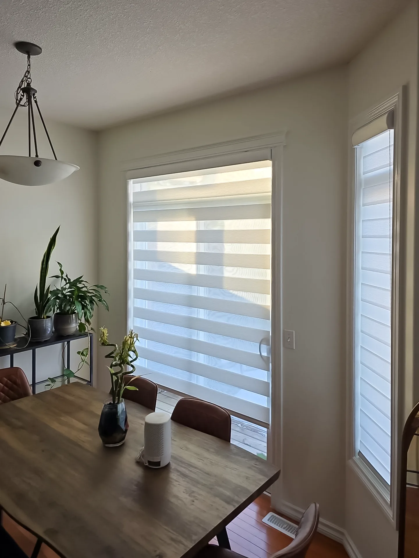 Zebra Blinds