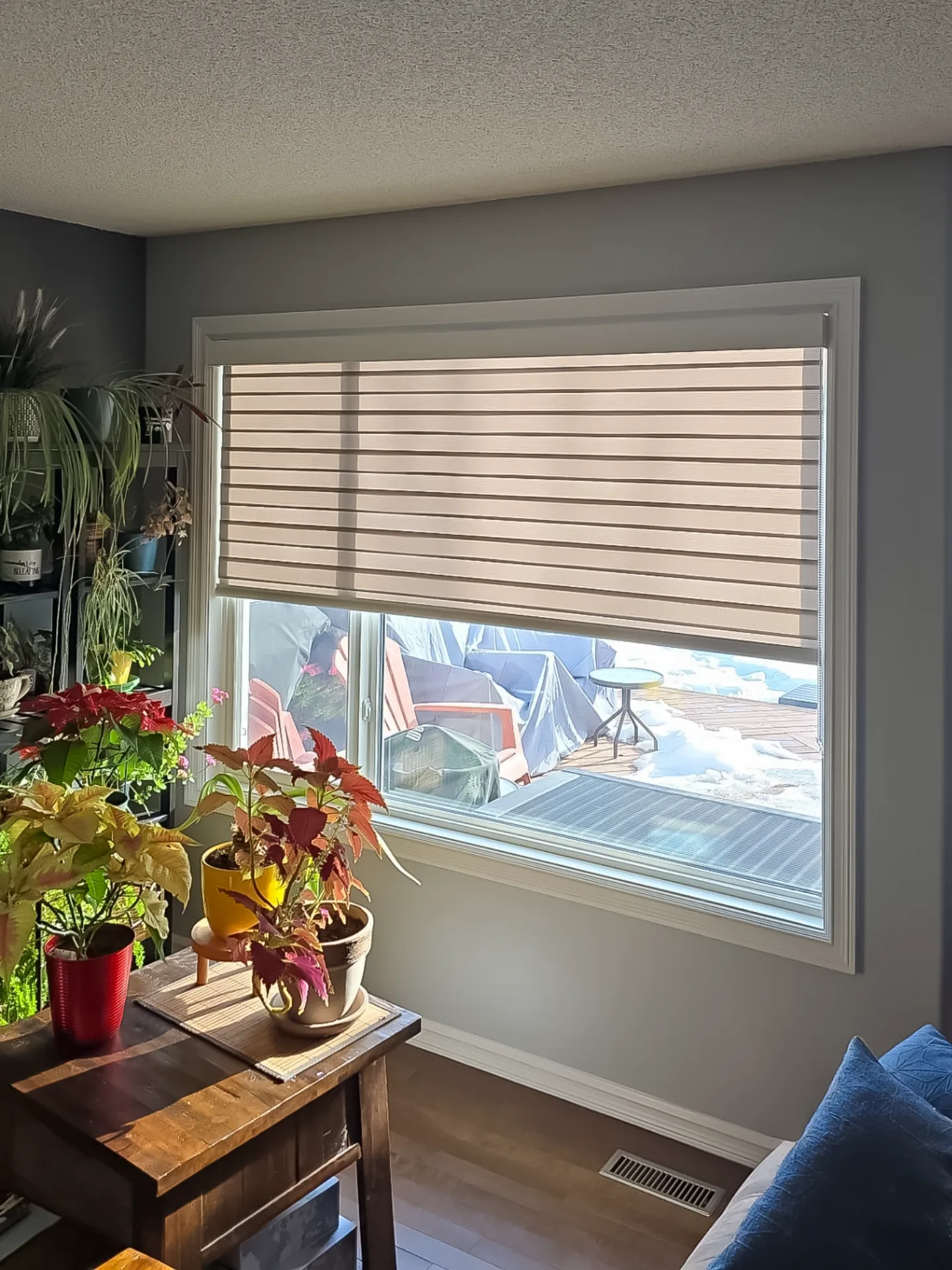 Zebra Blinds