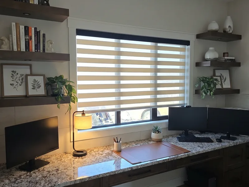 Zebra Blinds in a home office